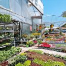 식송농장 이미지