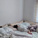 예닮몬테소리유치원 이미지