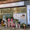 향남인셀덤