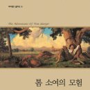 톰소여의 모험 이미지