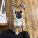 옵티멈존피시카페 서면점 | 2025 10월 연휴 시작 ~ 추석 당일