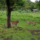 한라산을바라보는쉼터 이미지