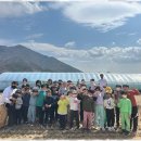 강호 합기도 | 문현동주짓수 아이들의 행복한 성장을 위한 최적의 선택