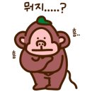 와이모터스 네이버블로그