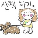 제주Jeju섬