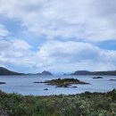 서초조은공인중개사사무소 이미지