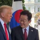 저것들 가짜뉴스야...ㅋㅋ 이미지