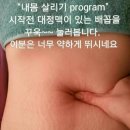 라파전위 이미지