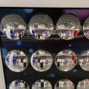 창진목장 | 재주도 좋다