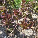 송학가든 이미지