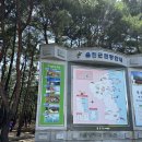 GR(울진군)-[월송정로]-하-1 | [지난 여행 후기] 동해안 7번 국도 드라이브 최고의 오션뷰 카페