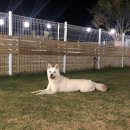 스테이 기북 이미지