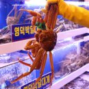 김가네 대게 네이버블로그