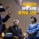 제주사랑 이미지