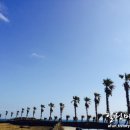 길인목장 이미지