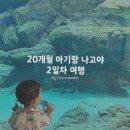 2022-10-0033 | 아기랑 일본 나고야 2일차 일정, 나고야항 수족관 범고래 / 파르코 백화점 야끼니꾸 / 하츠마부시 맛집...