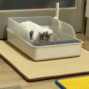 이층집고양이 이미지