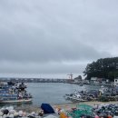 송정관광안내소 Daum카페