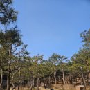 양양낙산사 의상대와 홍련암 | 양양 낙산사 방문 후기 홍련암 의상대까지 동해바다 사찰여행