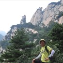 태산 카카오 검색결과