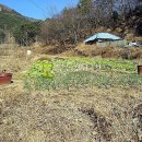 경남 창원시 진해구 명동 / 밭 전, 농작물재배부지 귀농지 귀농토지 요양병원부지 요양원부지 노인복지시설용지 / 1 이미지