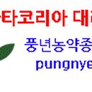 풍년농약종묘사 이미지