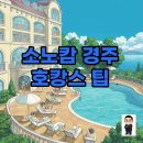 담음의 미학 | 소노캄 경주 호캉스: 리모델링된 풀앤스파와 수영장 이용 후기