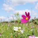 진안읍 1417 이미지