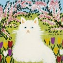 아름다운시선 이미지