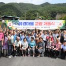 유경의원 서울신문