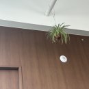 카운트 커피 로스터스 네이버블로그