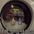 워시벨리 이미지