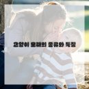 올바른청소 - 중구 어덕마을로150번길 33 | 올바른청소