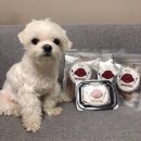 페이보리잇 이미지