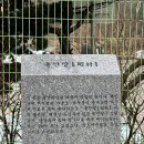 돌안말운동장 이미지