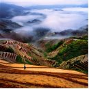 계림산수갑천하(桂林山水甲天下) 1 - 금계 이미지
