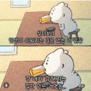 까까,봄 이미지