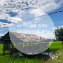 금강산파크여관 | 라오스 방비엥 센트럴파크호텔 후기/오토바이 렌털