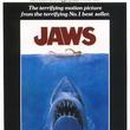 킹콩놀이샵 이미지