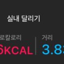 단풍나무짐 이미지