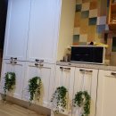 님 바래기 이미지