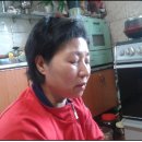 섬마을농원 이미지