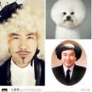 개랑나랑 이미지