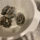 성읍리-22 이미지