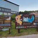 자연청과 이미지