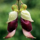 좋은세상약국 이미지