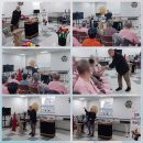 신기한마술세상 이미지