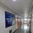 음양오행 성명학 | 사주의 구조를 결정하는 음양오행의 깊은 비밀과 실전 개운법 | 대간작명철학연구원 사주기초 4탄