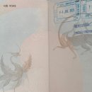 밝은e안경 이미지