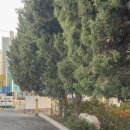 누리안유영길김태형내과김영찬방사선과의원 이미지